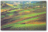 Paesaggio delle Marche